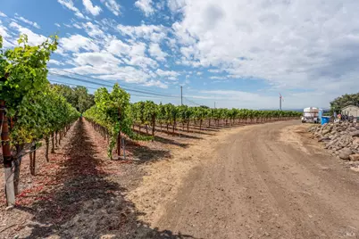 3340 Lichau Road, Penngrove, CA 94951 - Photo 18