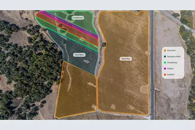 3340 Lichau Road, Penngrove, CA 94951 - Photo 4