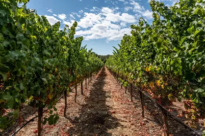 3340 Lichau Road, Penngrove, CA 94951 - Photo 22