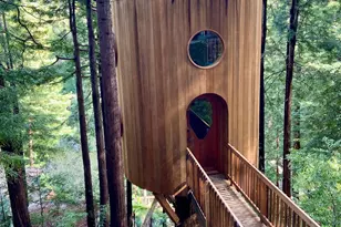 39 Renz Rd, Mill Valley, CA 94941 - Photo 58