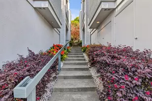 4 Ash Ave, Kentfield, CA 94904 - Photo 24