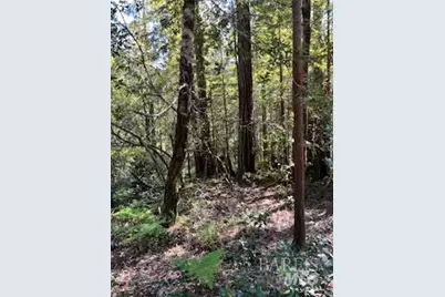 388 Moonraker Road, The Sea Ranch, CA 95497 - Photo 4