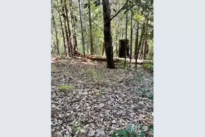 388 Moonraker Road, The Sea Ranch, CA 95497 - Photo 1