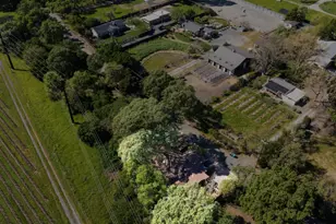 1460 Felder Rd, Sonoma, CA 95476 - Photo 60