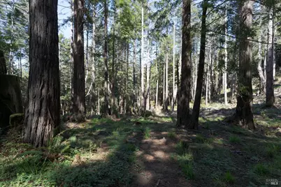 333 Fish Hook, The Sea Ranch, CA 95497 - Photo 30