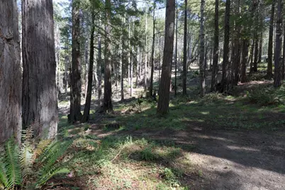 333 Fish Hook, The Sea Ranch, CA 95497 - Photo 34