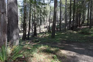 333 Fish Hook, The Sea Ranch, CA 95497 - Photo 34