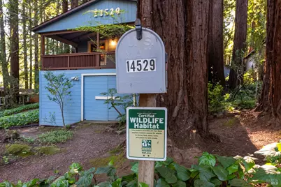 14529 Redwood Lane, Guerneville, CA 95446 - Photo 44