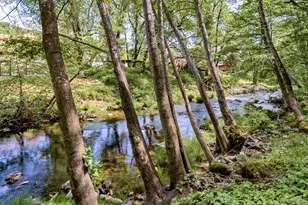 1095 Robertson Rd, Glen Ellen, CA 95442 - Photo 4