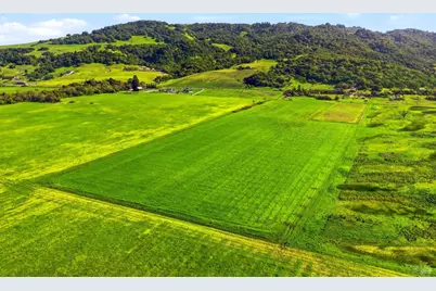 4305 Petaluma Hill Road, Santa Rosa, CA 95404 - Photo 88