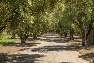 900 Rutherford Road, Rutherford, CA 94573 - Photo 6