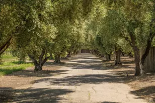 900 Rutherford Rd, Rutherford, CA 94573 - Photo 6