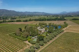 900 Rutherford Rd, Rutherford, CA 94573 - Photo 70