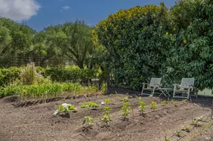 900 Rutherford Rd, Rutherford, CA 94573 - Photo 48