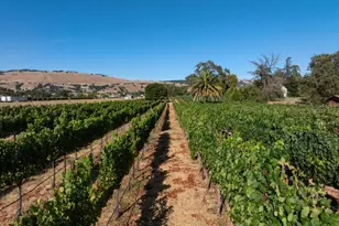 2143 Buena Vista Ave, Gilroy, CA 95020 - Photo 24