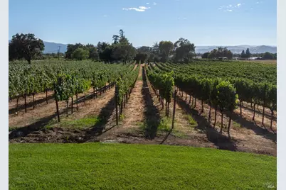 2143 Buena Vista Avenue, Gilroy, CA 95020 - Photo 10