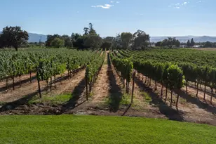 2143 Buena Vista Ave, Gilroy, CA 95020 - Photo 10