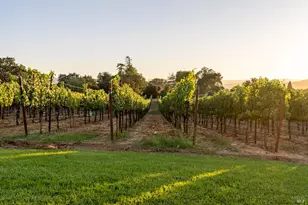 2143 Buena Vista Ave, Gilroy, CA 95020 - Photo 34