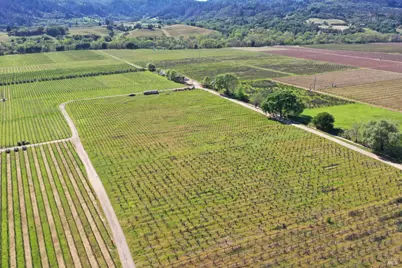 4304 Dry Creek Road, Healdsburg, CA 95448 - Photo 52