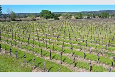 4304 Dry Creek Road, Healdsburg, CA 95448 - Photo 50