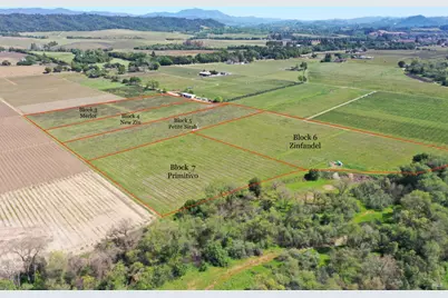 4304 Dry Creek Road, Healdsburg, CA 95448 - Photo 10