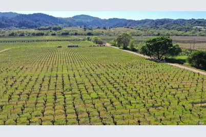 4304 Dry Creek Road, Healdsburg, CA 95448 - Photo 58