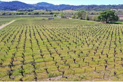 4304 Dry Creek Road, Healdsburg, CA 95448 - Photo 44