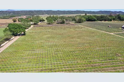 4304 Dry Creek Road, Healdsburg, CA 95448 - Photo 48