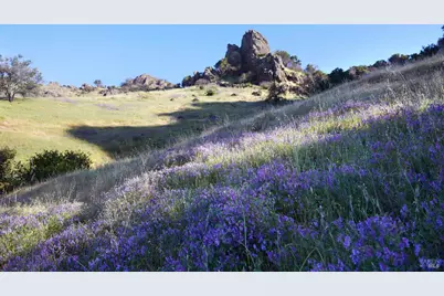 5870 Silverado Trail, Napa, CA 94558 - Photo 64