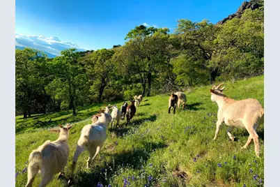 5870 Silverado Trail, Napa, CA 94558 - Photo 54