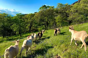 5870 Silverado Trail, Napa, CA 94558 - Photo 54