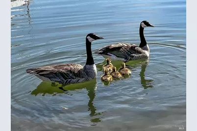 124 Montego Key, Novato, CA 94949 - Photo 66