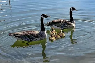 124 Montego Key, Novato, CA 94949 - Photo 70