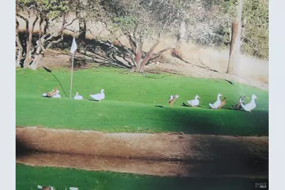 18300 Morgan Valley Road, Lower Lake, CA 95457 - Photo 16