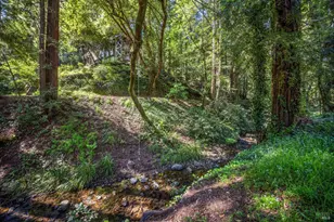 334 W Blithedale Ave, Mill Valley, CA 94941 - Photo 70
