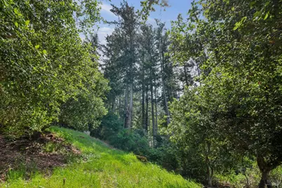 12 Chaparral Lane, San Geronimo, CA 94963 - Photo 62