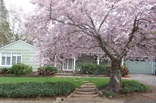 10 Donna Maria Way, Orinda, CA 94563 - Photo 1