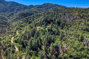 15306 Western Mine Rd, Middletown, CA 95461 - Photo 68