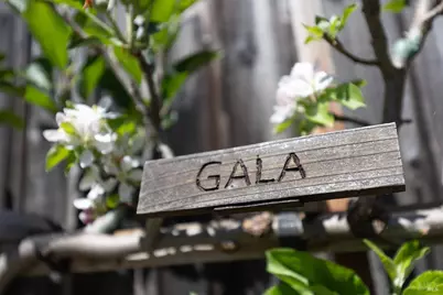 700 Montclair Drive, Santa Rosa, CA 95409 - Photo 34