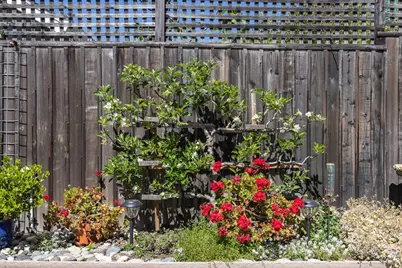 700 Montclair Drive, Santa Rosa, CA 95409 - Photo 32