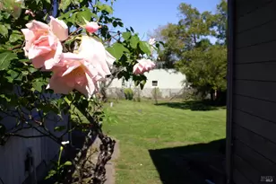 518 Galland St, Petaluma, CA 94952 - Photo 22