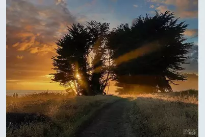 42179 Rock Cod, The Sea Ranch, CA 95497 - Photo 28