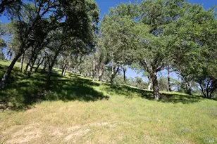 1486 Steele Canyon Rd, Napa, CA 94558 - Photo 36
