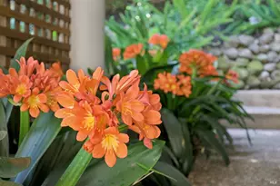 55 Upper N Terrace, Tiburon, CA 94920 - Photo 32