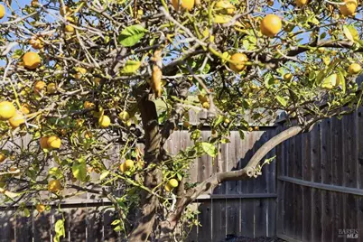 10601 Sheldon Street, Oakland, CA 94605 - Photo 38