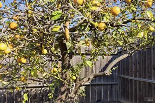 10601 Sheldon St, Oakland, CA 94605 - Photo 38