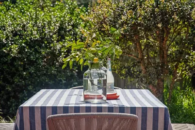 9 Portola Avenue, Point Reyes Station, CA 94956 - Photo 46