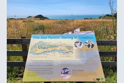 315 Chinquapin Lane, The Sea Ranch, CA 95497 - Photo 14
