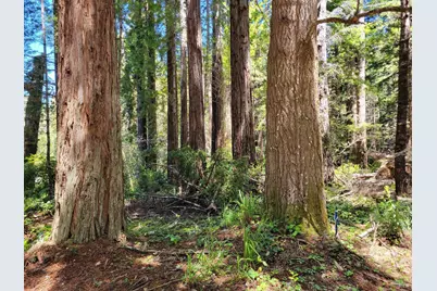 315 Chinquapin Lane, The Sea Ranch, CA 95497 - Photo 2