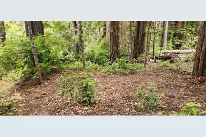 315 Chinquapin Lane, The Sea Ranch, CA 95497 - Photo 1